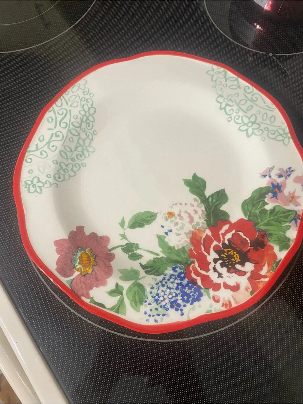 The Pioneer Woman Country Garden Ceramic Dinner Plate - Red Rim